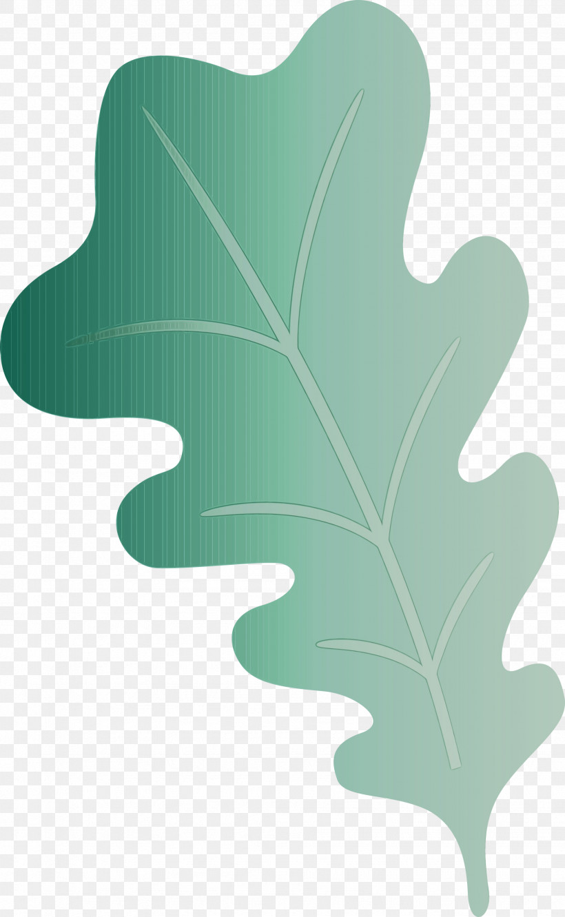 Leaf Tree Green Meter Font, PNG, 1848x3000px, Oak Leaf, Biology, Green, Leaf, Meter Download Free
