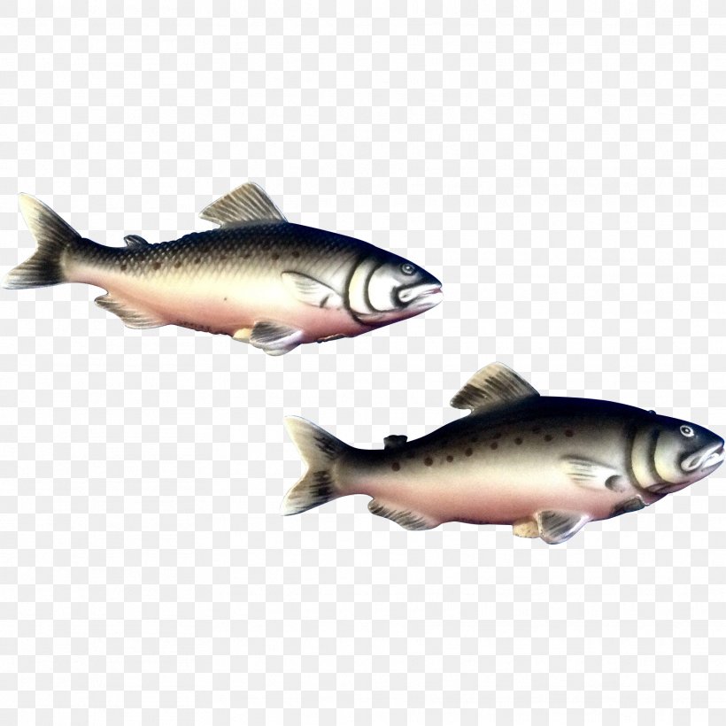 Trout Herring Oily Fish Salt, PNG, 1821x1821px, Trout, Black Pepper, Bony Fish, Brook Trout, Brown Trout Download Free