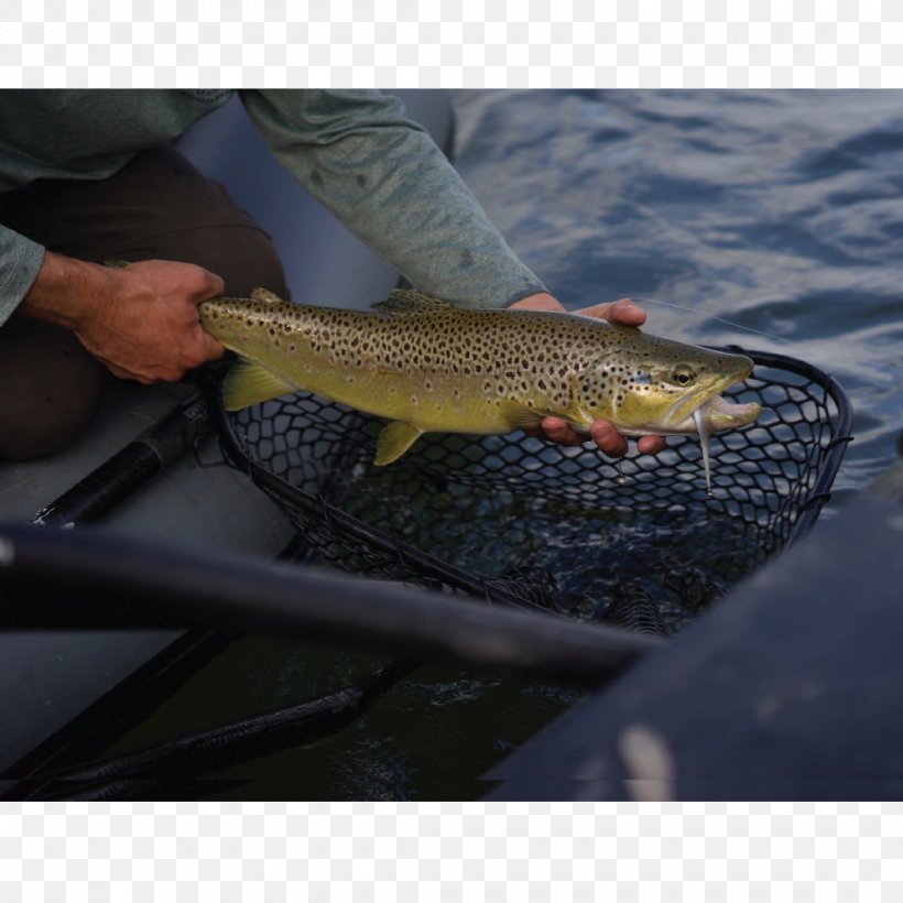 Coastal Cutthroat Trout 09777 Fishing Salmon, PNG, 1060x1060px, Coastal Cutthroat Trout, Boat, Bony Fish, Cod, Cutthroat Trout Download Free
