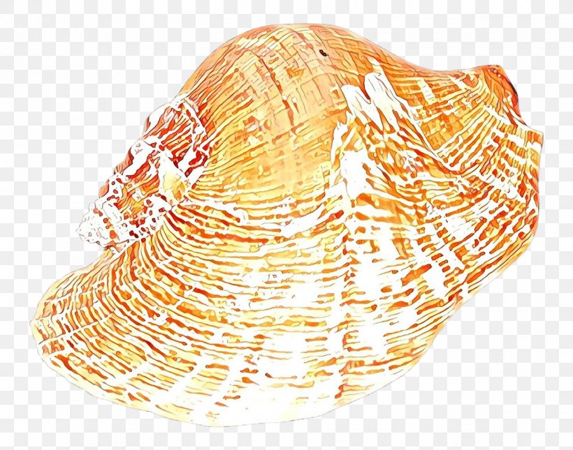 Cockle Cockle, PNG, 1442x1136px, Cockle, Bivalve, Clam, Conch, Conchology Download Free