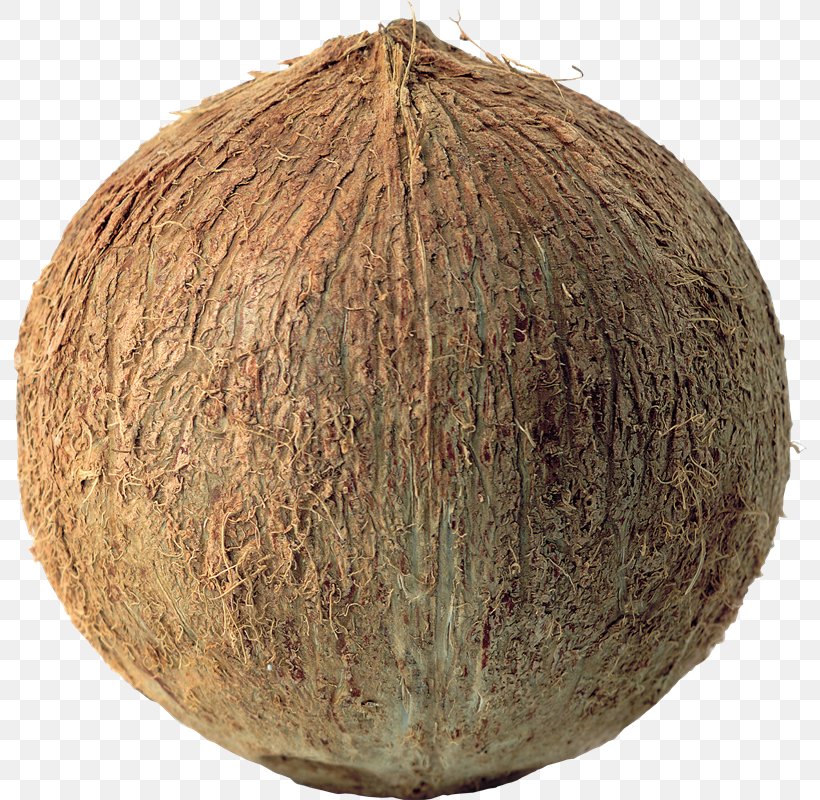 Coconut, PNG, 794x800px, Coconut, Arecaceae, Commodity, Compression Artifact, Image File Formats Download Free