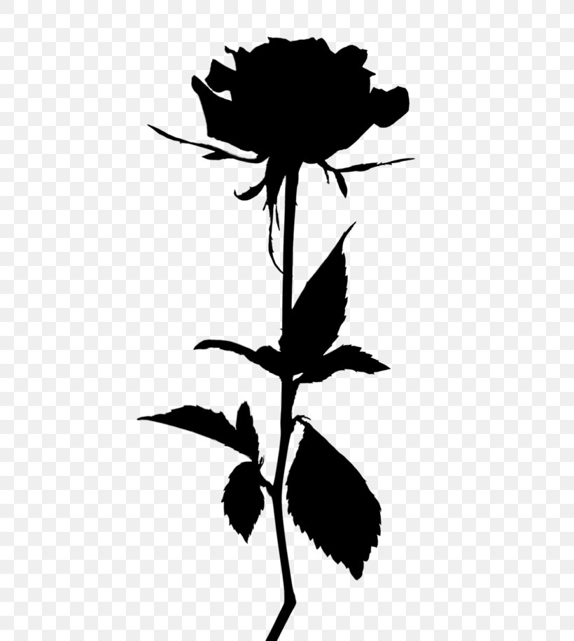 Clip Art Rose Image Transparency, PNG, 650x916px, Rose, Blackandwhite, Botany, Flower, Flowering Plant Download Free