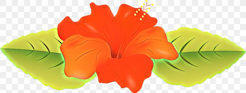 Watercolor Flower Background, PNG, 3000x1136px, Cartoon, Borders And Frames, Drawing, Flower, Hawaiian Hibiscus Download Free