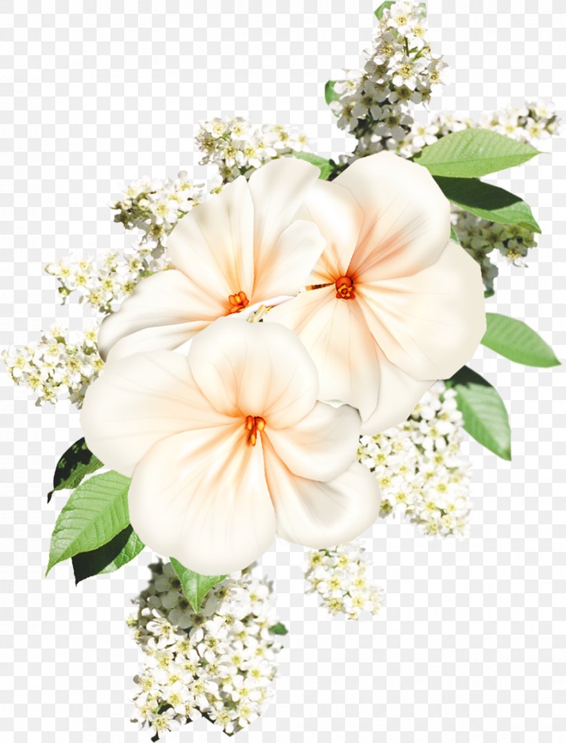 Cut Flowers White Floral Design, PNG, 913x1200px, Flower, Annual Plant, Archive File, Blossom, Cut Flowers Download Free