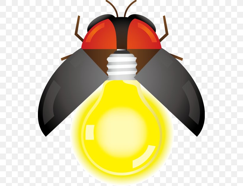 Firefly Insect Illustration Clip Art Yellow, PNG, 563x630px, Firefly, Bee, Chartreuse, Green, Insect Download Free