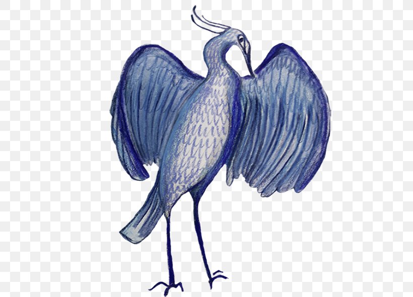 Flightless Bird Drawing Feather, PNG, 590x590px, Bird, Beak, Character, Crane, Crane Like Bird Download Free