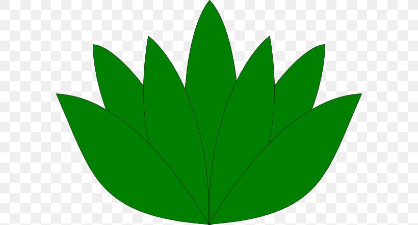 Leaf Green Plant Stem, PNG, 600x443px, Leaf, Grass, Green, Plant, Plant Stem Download Free