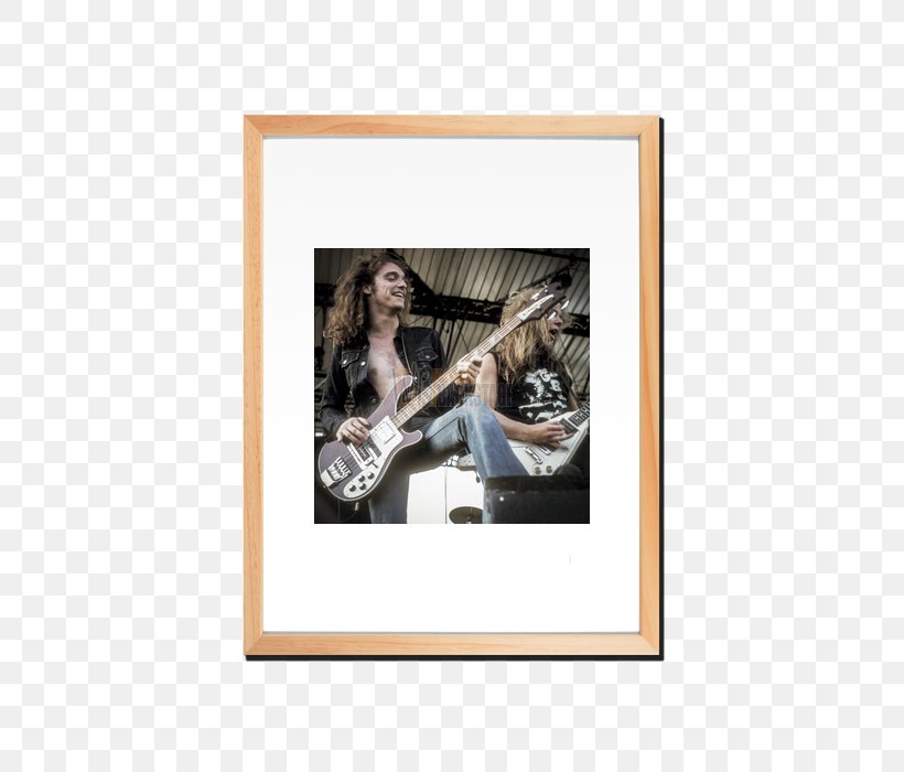 Picture Frames Rectangle Cliff Burton, PNG, 700x700px, Picture Frames, Cliff Burton, Picture Frame, Rectangle Download Free