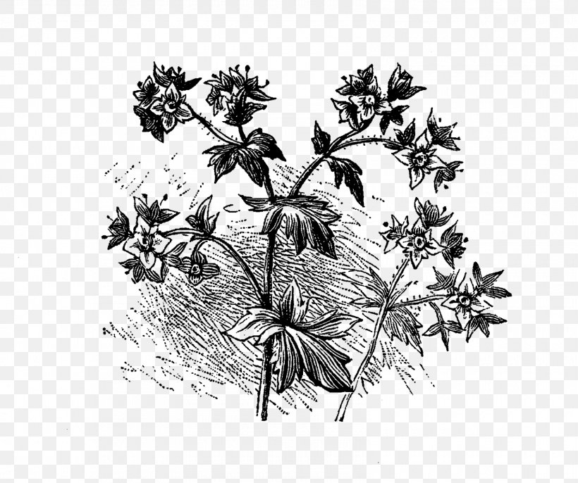 Wildflower Clip Art, PNG, 1600x1340px, Flower, Black And White, Branch, Color, Drawing Download Free