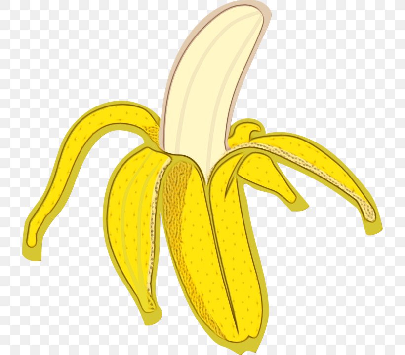Lily Flower Cartoon, PNG, 730x720px, Banana, Banana Bread, Banana Family, Banana Peel, Banana Pudding Download Free
