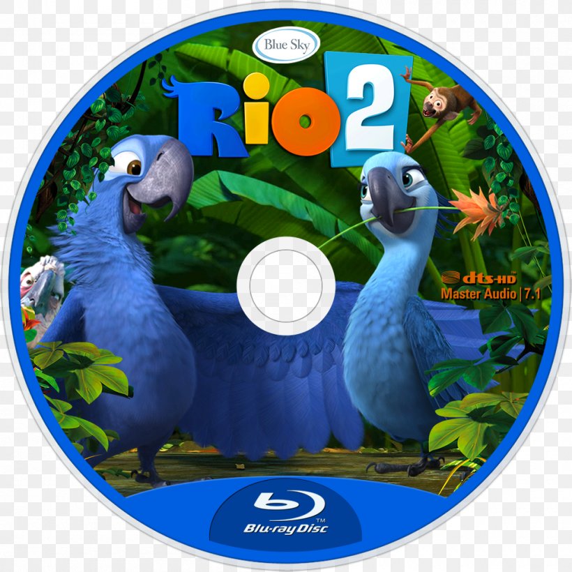 Macaw Blu-ray Disc Beak Blue Sky Studios, PNG, 1000x1000px, Macaw, Beak, Bird, Blue Sky Studios, Bluray Disc Download Free