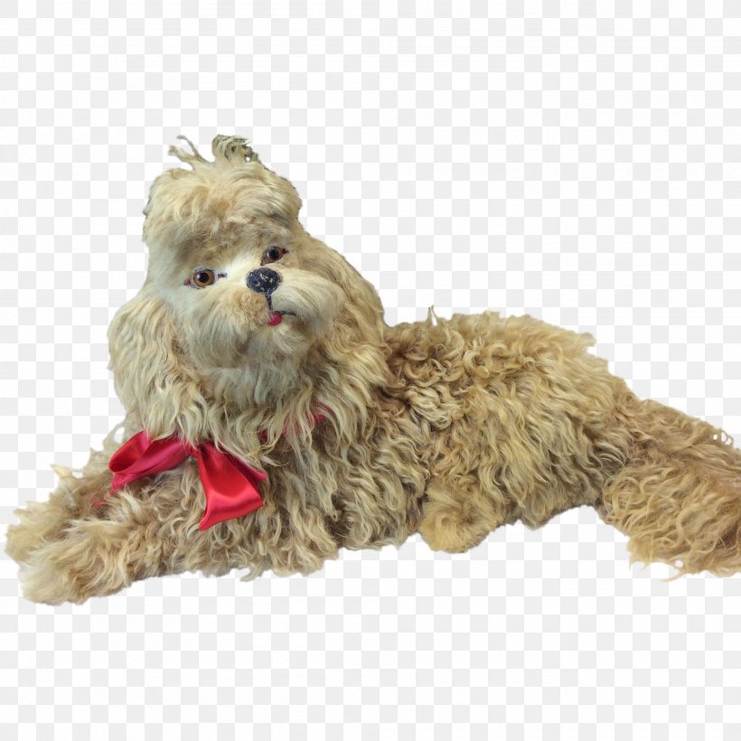 Dog Breed Shih Tzu Companion Dog Stuffed Animals & Cuddly Toys Snout, PNG, 1990x1990px, Dog Breed, Breed, Carnivoran, Companion Dog, Dog Download Free