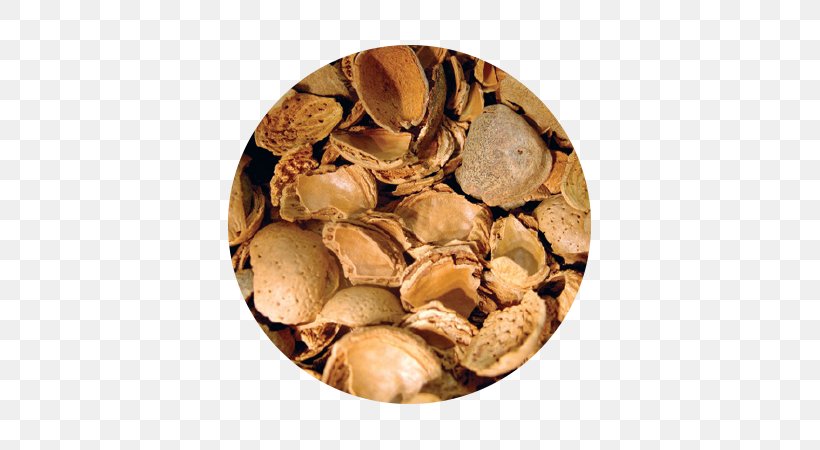 Hazelnut, PNG, 670x450px, Hazelnut, Food, Ingredient, Nut, Nuts Seeds Download Free