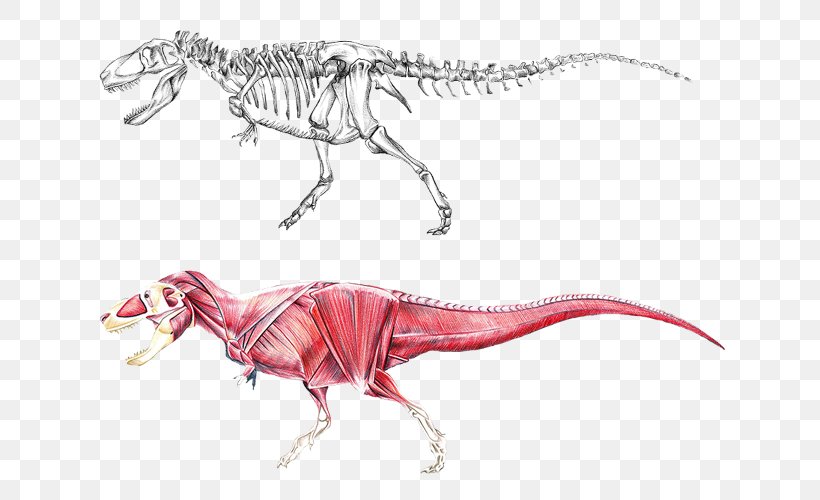 Tyrannosaurus Brachiosaurus Dinosaur Allosaurus Stegosaurus, PNG, 670x500px, Watercolor, Cartoon, Flower, Frame, Heart Download Free