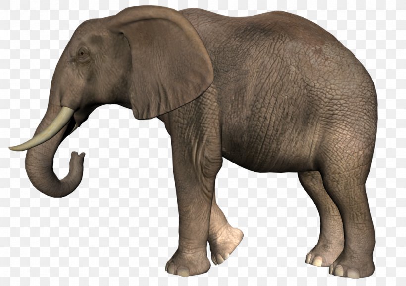 African Bush Elephant African Forest Elephant Clip Art, PNG, 1024x724px, African Bush Elephant, African Elephant, African Forest Elephant, Animal, Basabizitza Download Free