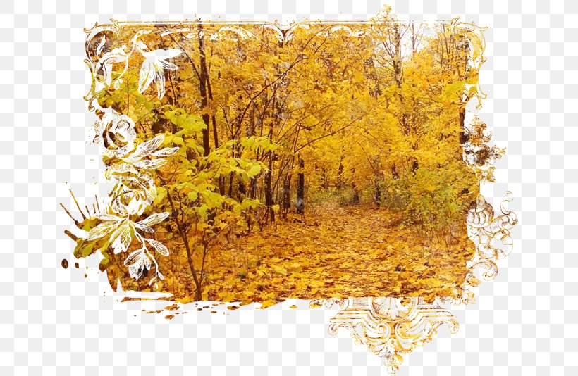 Autumn Digital Image, PNG, 650x534px, 2018, Autumn, Branch, Deciduous, Digital Image Download Free