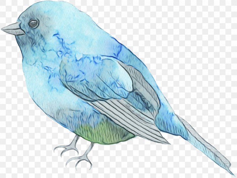 Feather, PNG, 976x734px, Watercolor, Beak, Bird, Bluebird, Feather Download Free