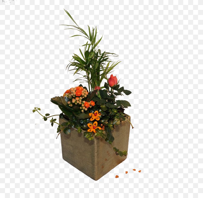 Floral Design Cut Flowers Flowerpot Flower Bouquet, PNG, 800x800px, Floral Design, Cut Flowers, Flora, Floristry, Flower Download Free