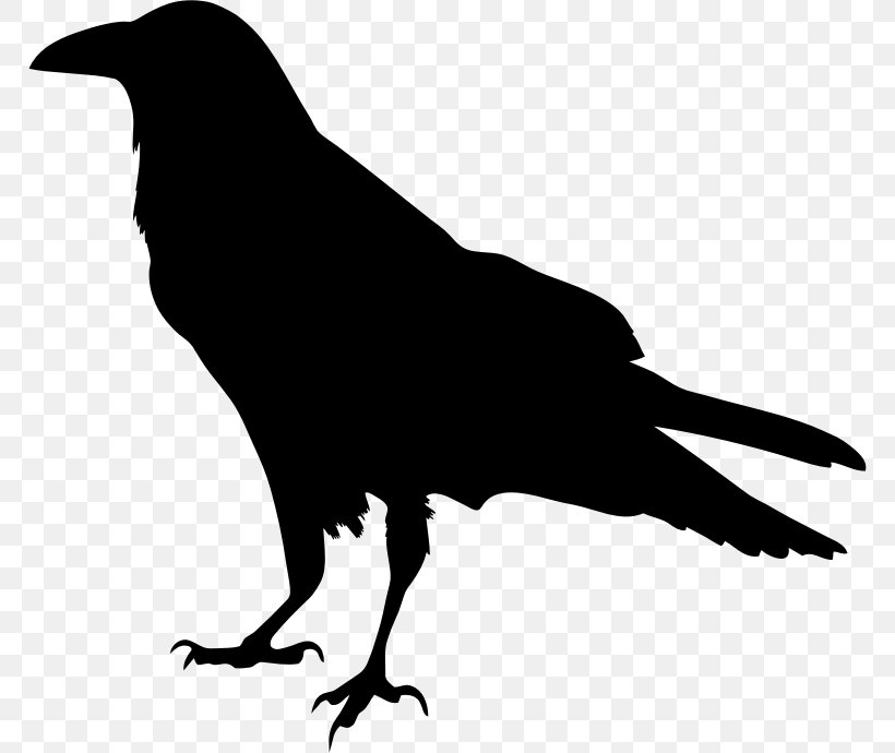 The Raven Silhouette Drawing Clip Art, PNG, 768x690px, Raven, American Crow, Beak, Bird, Black And White Download Free
