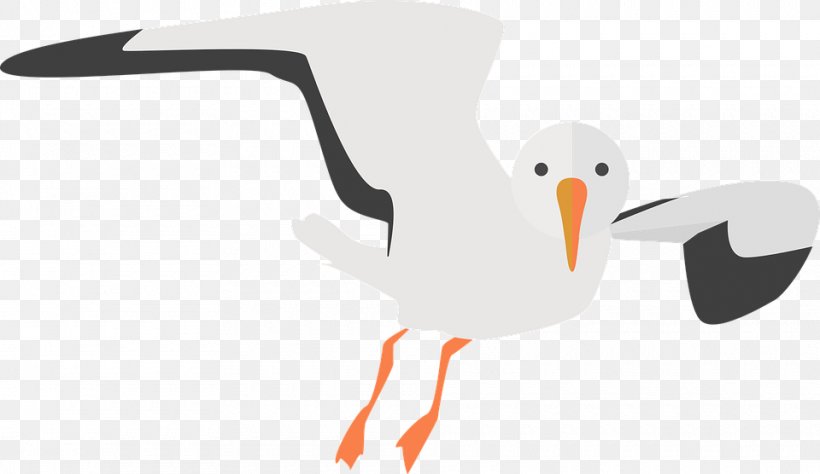 Common Gull Clip Art, PNG, 960x556px, European Herring Gull, Beak, Bird, Brand, Common Gull Download Free