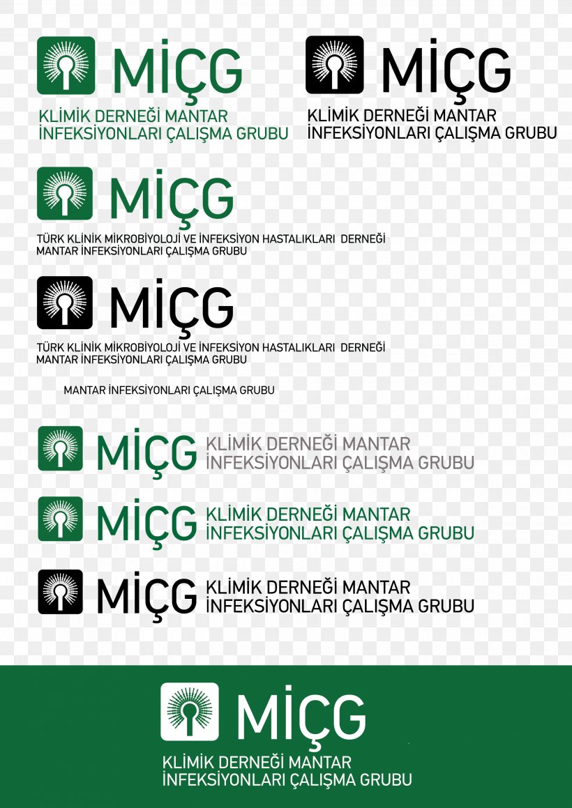 Document Logo Font LINE, PNG, 2480x3508px, Document, Area, Brand, Green, Logo Download Free