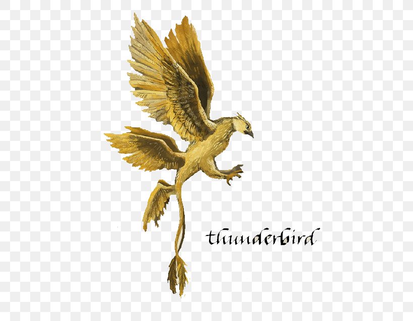 Fantastic Beasts And Where To Find Them Harry Potter Prequel Hogwarts Drawing, PNG, 533x638px, Harry Potter Prequel, Beak, Bird, Bird Of Prey, Drawing Download Free