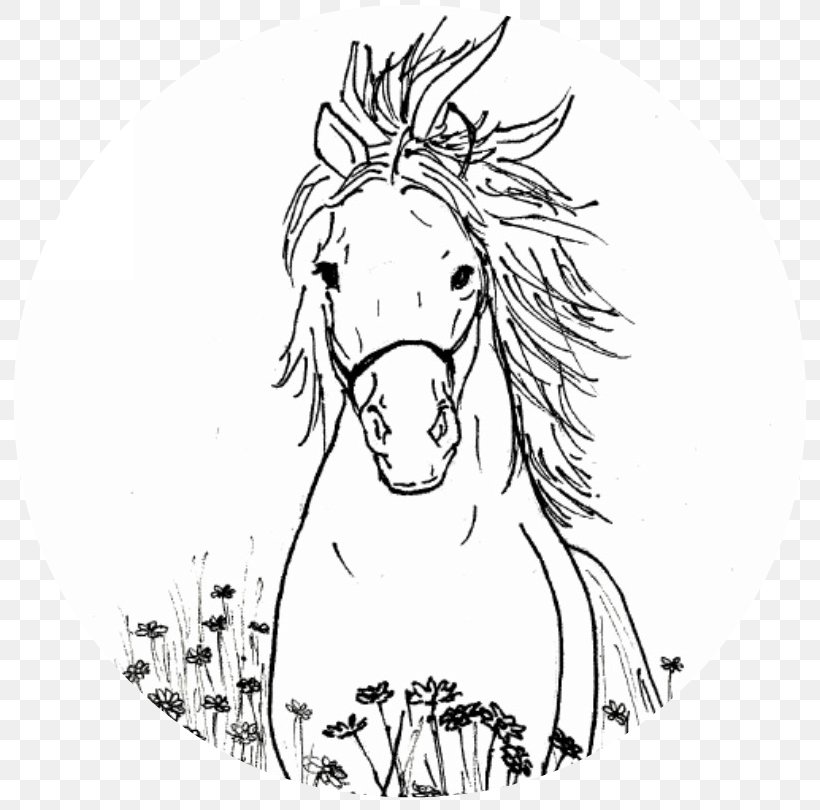 Mustang Drawing Line Art Clip Art, PNG, 810x810px, Watercolor, Cartoon, Flower, Frame, Heart Download Free