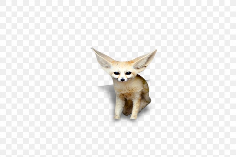 Red Fox Animal, PNG, 2100x1400px, Red Fox, Animal, Carnivoran, Dog Like Mammal, Fauna Download Free