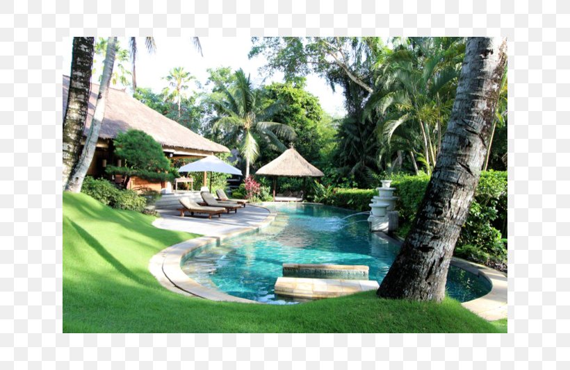 Swimming Pool Backyard Resort Water Feature Water Resources, PNG, 800x533px, Swimming Pool, Backyard, Eco Hotel, Estate, Hacienda Download Free