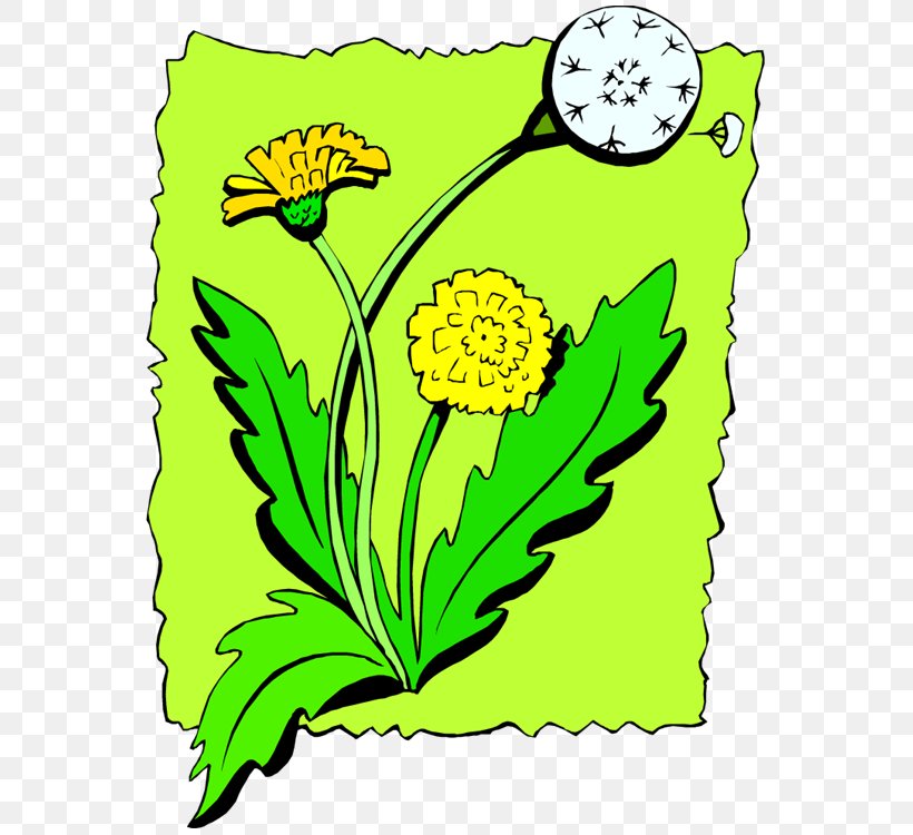Floral Design Cut Flowers Drawing Leaf, PNG, 565x750px, Floral Design, Artwork, Cut Flowers, Dandelion, Definition Download Free