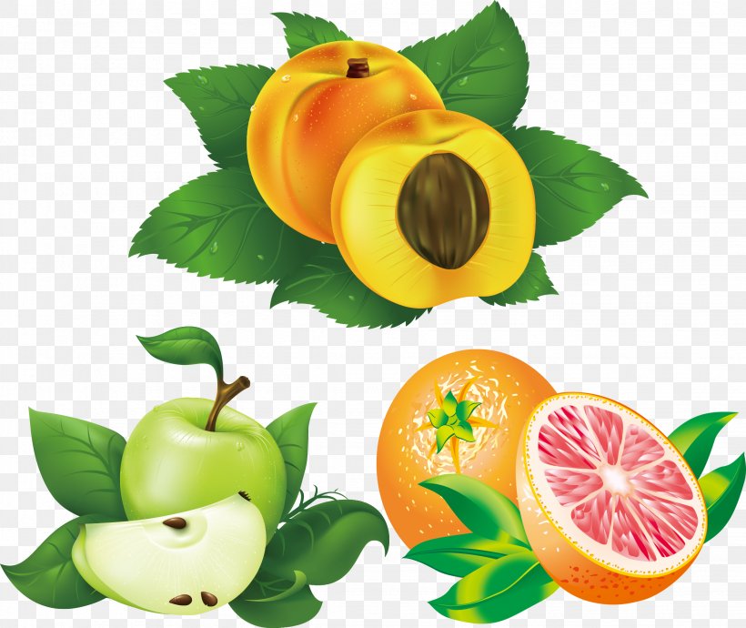 Fruit Peach Apricot Illustration, PNG, 2261x1903px, Fruit, Apple, Apricot, Berry, Citrus Download Free