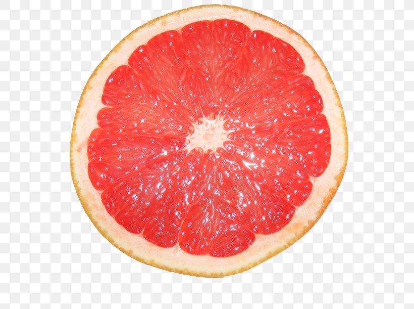 Grapefruit Pomelo Citrus Myrtifolia Tangerine Lemon, PNG, 658x611px, Grapefruit, Apple, Citric Acid, Citron, Citrus Download Free