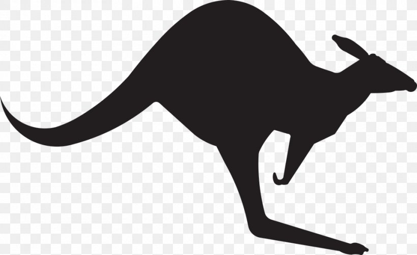 Kangaroo Royalty-free Clip Art, PNG, 960x588px, Kangaroo, Black, Black And White, Cat, Cat Like Mammal Download Free