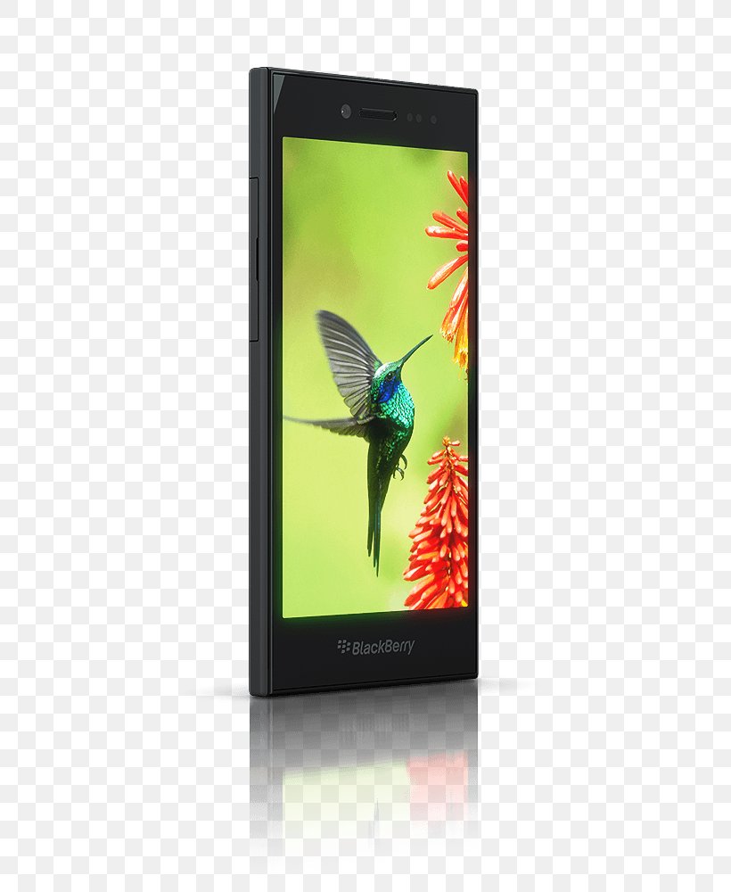 Smartphone BlackBerry Leap Tangguh Screen Protectors, PNG, 800x1000px, Smartphone, Advertising, Blackberry, Blackberry Leap, Butterfly Download Free
