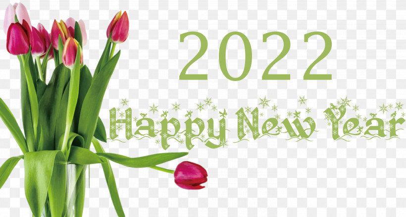 2022 Happy New Year 2022 New Year 2022, PNG, 3000x1609px, Floral Design, Cut Flowers, Flower, Local Food, Meter Download Free