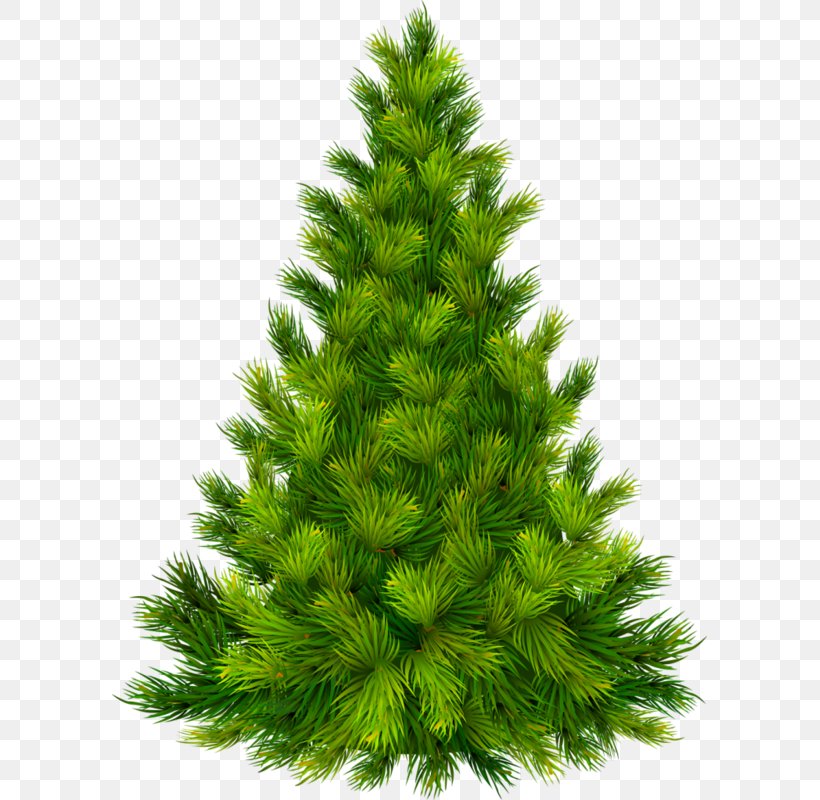 Christmas Tree Christmas Ornament Clip Art, PNG, 595x800px, Christmas Tree, Biome, Christmas, Christmas Decoration, Christmas Ornament Download Free