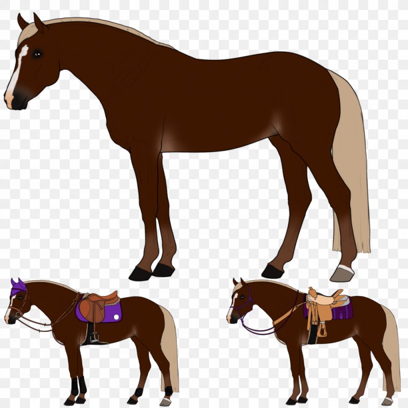 Mustang Foal Stallion Colt Rein, PNG, 1024x1024px, Mustang, Animal Figure, Bridle, Colt, Equestrian Sport Download Free