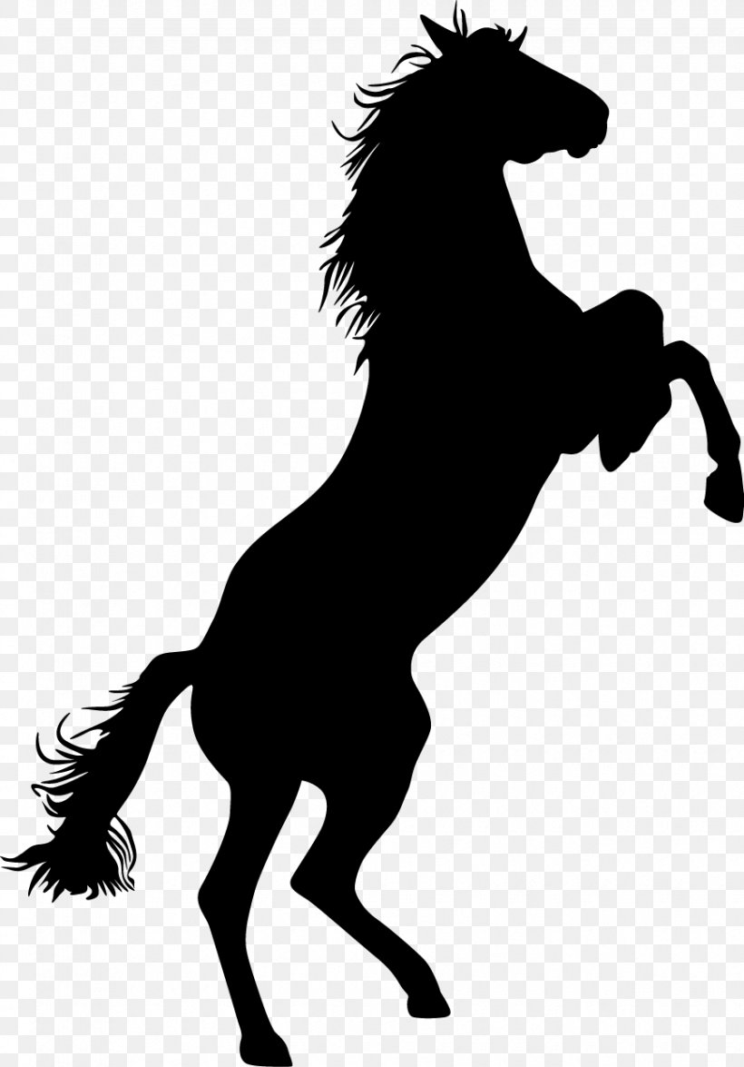 Mustang Standing Horse Bronco Equestrian Clip Art, PNG, 870x1247px, Mustang, Animal, Bareback Riding, Black And White, Bronco Download Free