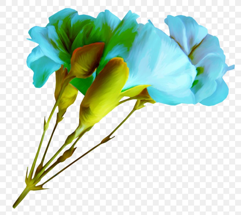Cut Flowers Blue Floral Design Petal, PNG, 800x732px, Flower, Blue, Blue Rose, Bud, Cut Flowers Download Free