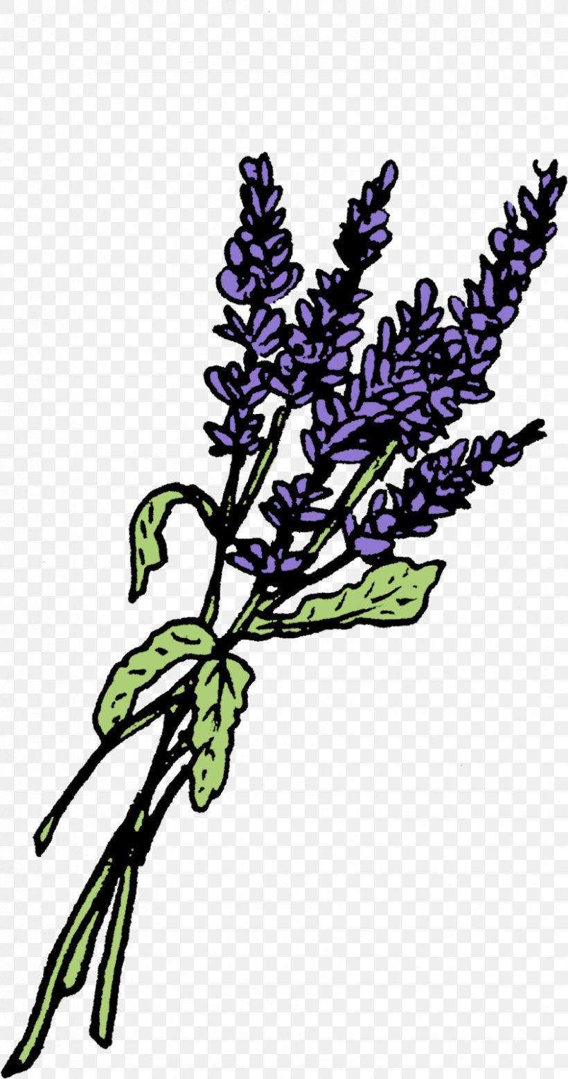 Lavender Graphics Leaf Twig Plant Stem, PNG, 843x1600px, Lavender, Branch, Flora, Flower, Flowering Plant Download Free