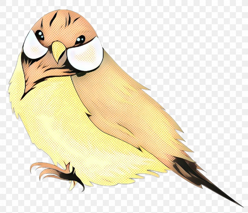 Lovebird Parakeet Beak Finches, PNG, 2251x1931px, Lovebird, Atlantic Canary, Beak, Bird, Bird Of Prey Download Free