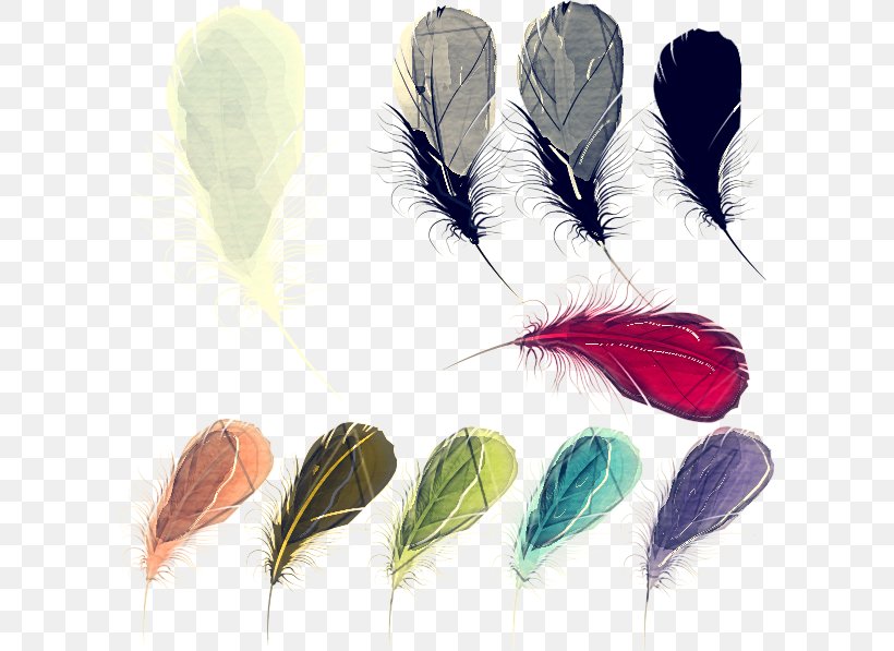Feather, PNG, 600x597px, Feather, Fashion Accessory, Natural Material, Plant, Quill Download Free