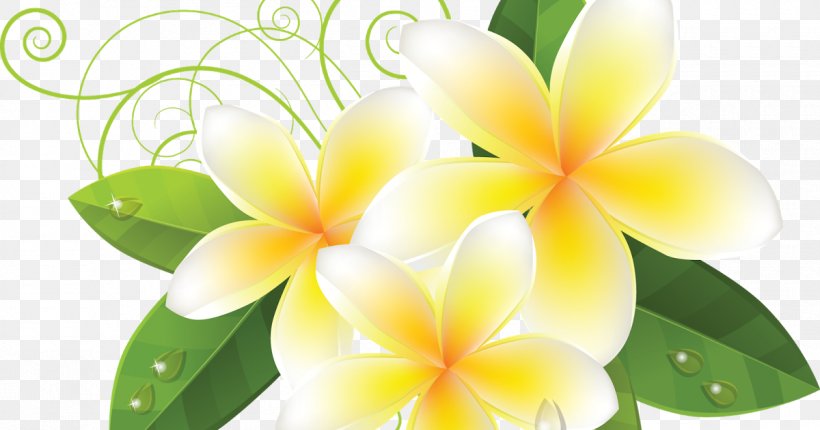 Petal Flower, PNG, 1200x630px, Petal, Flora, Floristry, Flower, Number Download Free