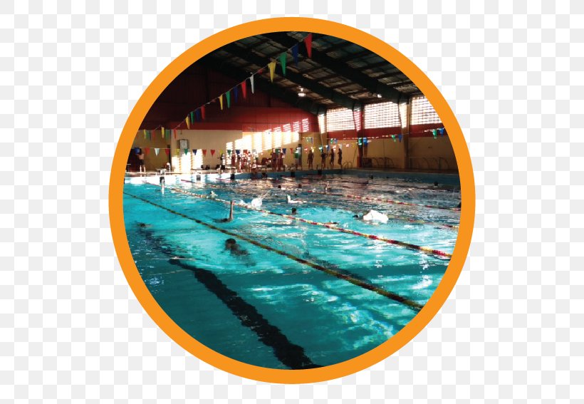 Swimming Pool Sport Natatorium Trujillo Alto, PNG, 553x567px, Swimming Pool, Caguas, Leisure, Leisure Centre, Natatorium Download Free