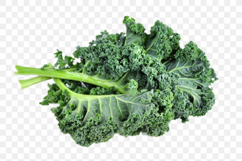 Broccoli Lacinato Kale Brussels Sprout Organic Food Leaf Vegetable, PNG, 1024x683px, Broccoli, Beetroot, Brassica Oleracea, Brussels Sprout, Cabbage Download Free