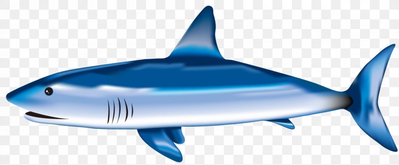Tiger Shark Great White Shark Blue Shark Shark Fin Soup, PNG, 1200x500px, Tiger Shark, Blue Shark, Carcharhiniformes, Cartilaginous Fish, Digital Illustration Download Free