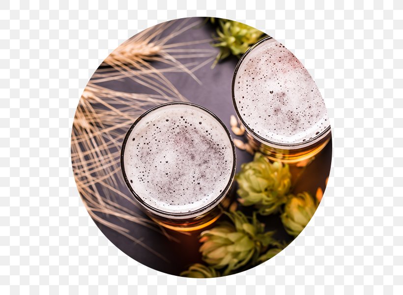 Craft Beer Cider Beer Brewing Grains & Malts Brewery, PNG, 600x600px, Beer, Ale, Bar, Beer Brewing Grains Malts, Beer Festival Download Free