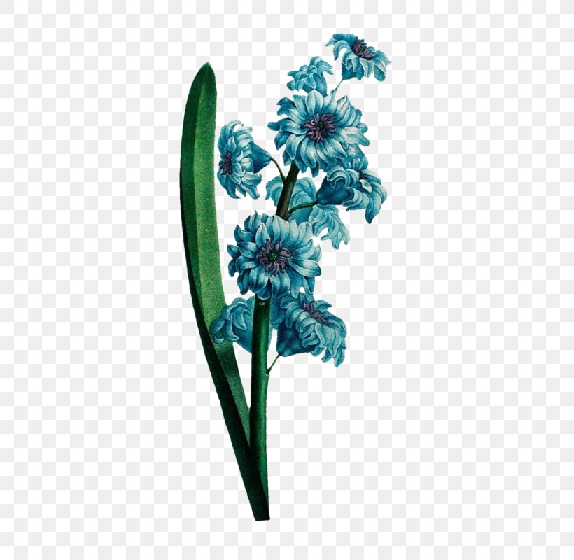 Cut Flowers Plant, PNG, 422x800px, 2018, Cut Flowers, Copyright, Flower, Flowering Plant Download Free