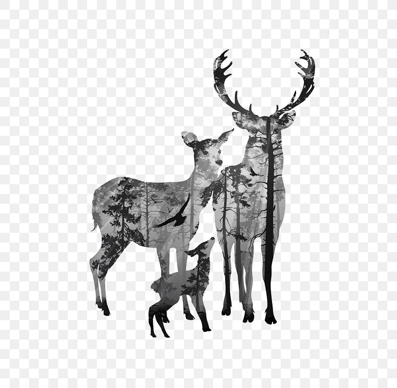 Deer Canvas Antler Clip Art, PNG, 800x800px, Deer, Antler, Black And White, Canvas, Canvas Print Download Free