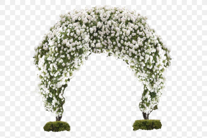 Flower Arch Fundal, PNG, 1024x683px, Flower, Arch, Deviantart, Floral Design, Fundal Download Free